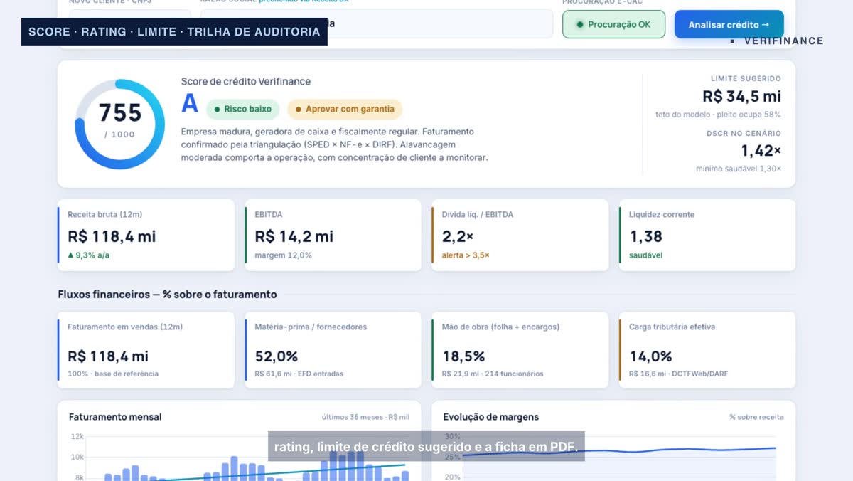 Ficha de crédito na plataforma Verifinance: score, rating, limite e indicadores